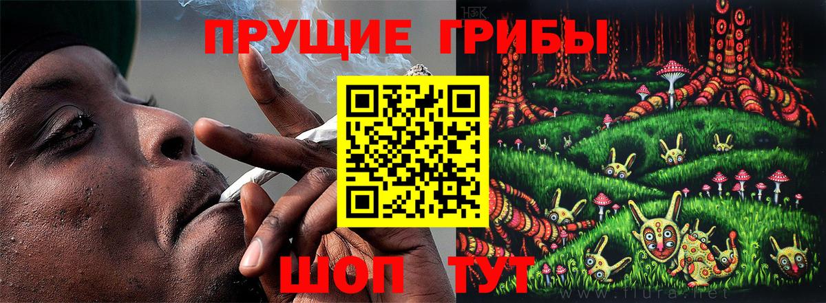 Верхняя Салда  где найти наркотики  Вход с VPN  Псилоцибиновые грибы Cubensis  Псилоцибиновые грибы прущие грибы 