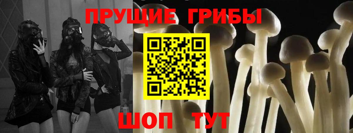 Галлюциногенные грибы мицелий Верхняя Салда